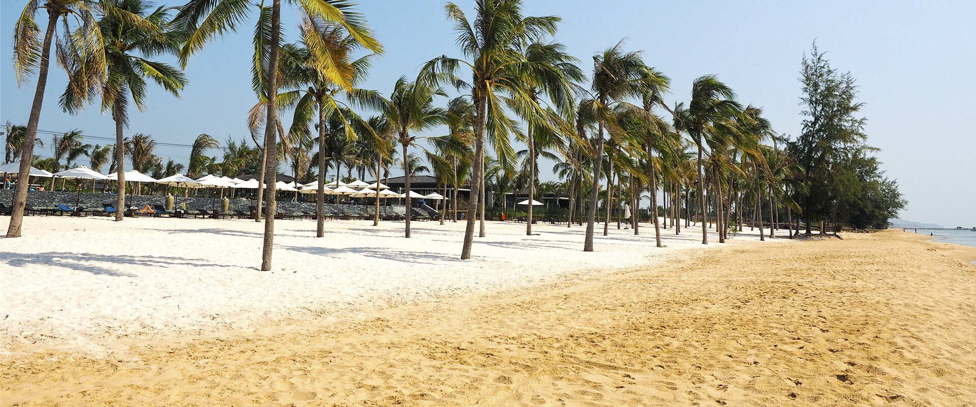 Delta i vår konkurranse for å få muligheten til å bli vår Vietnam-ambassadør