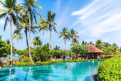 Hikka Tranz by Cinnamon