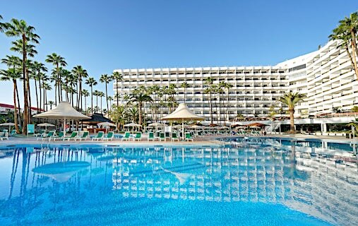 Bull Eugenia Victoria